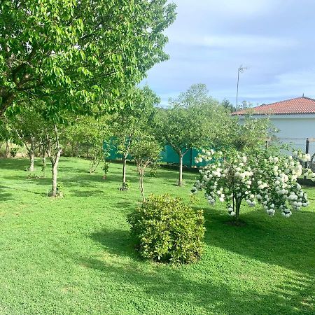 A Casa Vermella Con Jardin A 10 Minutos De Santiago De Compostela Apartment Ortono Exterior foto