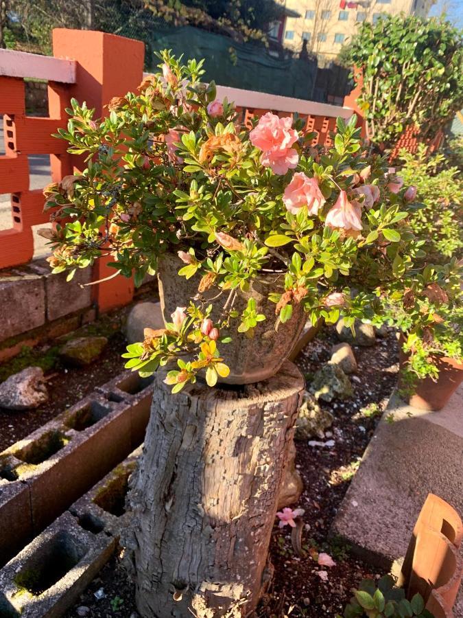 A Casa Vermella Con Jardin A 10 Minutos De Santiago De Compostela Apartment Ortono Exterior foto